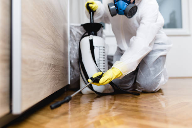 Best Emergency Pest Control  in Laurel Bay, SC