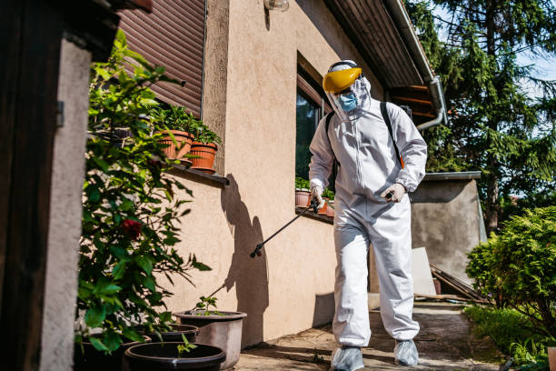 Best Rat Extermination Near Me  in Laurel Bay, SC