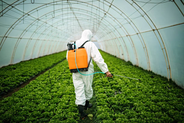 Best Affordable Pest Control Services  in Laurel Bay, SC