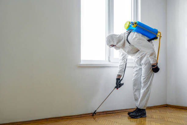 Best Commercial Pest Control Services  in Laurel Bay, SC