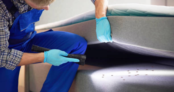 Reliable Laurel Bay, SC Pest Control Solutions