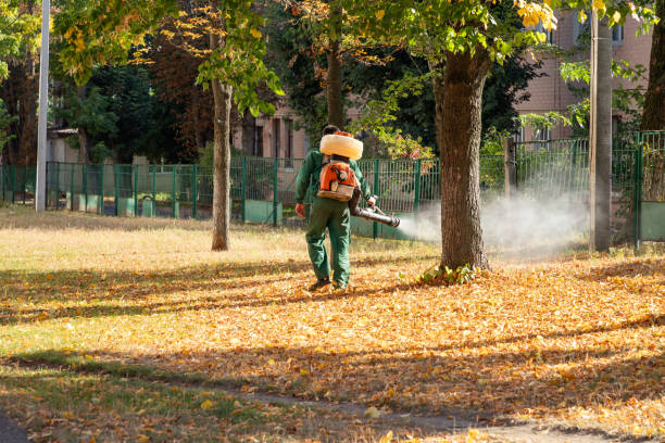 Best Emergency Pest Control  in Laurel Bay, SC