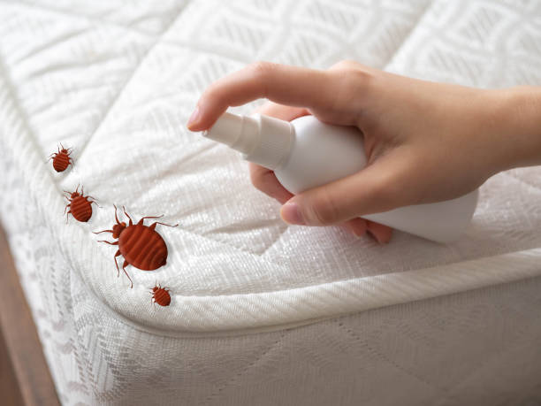 Best Residential Pest Control  in Laurel Bay, SC