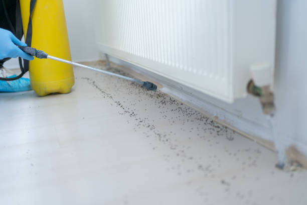 Pest Control for Restaurants in Laurel Bay, SC