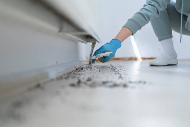Best Affordable Pest Control Services  in Laurel Bay, SC
