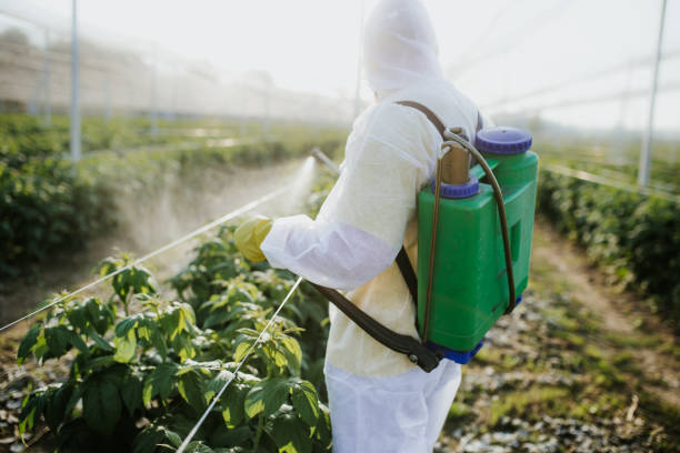 Best Residential Pest Control  in Laurel Bay, SC